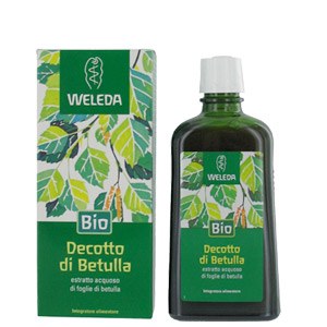 Decotto di Betulla