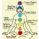 I 7 chakra