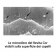 Microsfere sui capelli